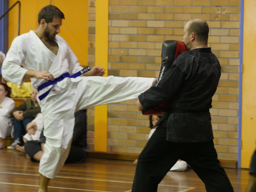 Blue belt martial artist front-kicking a bag