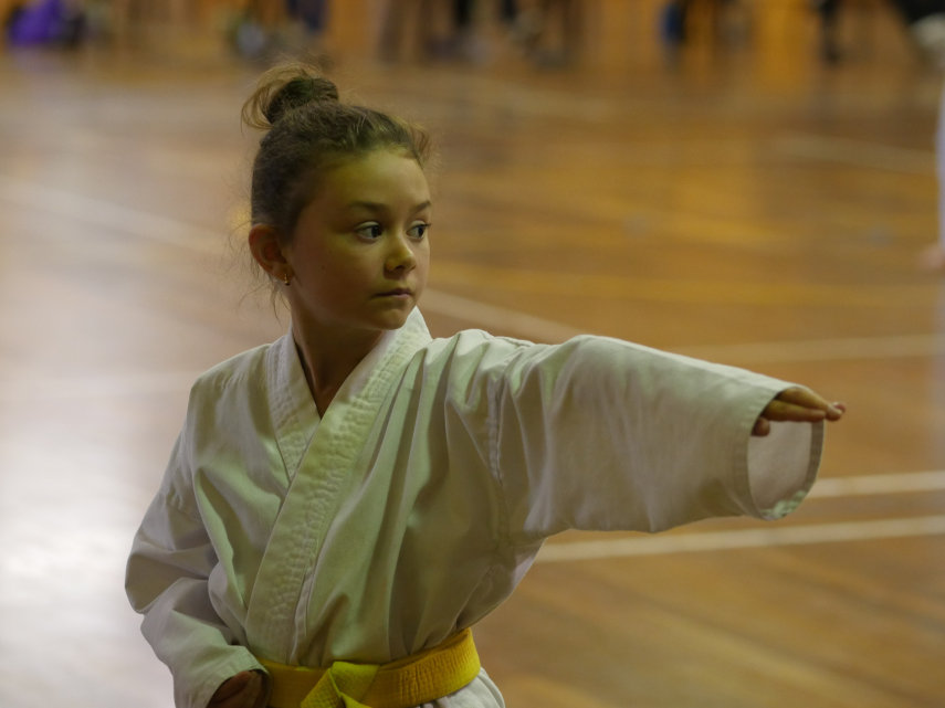 Yellow belt performing a knife hand strike