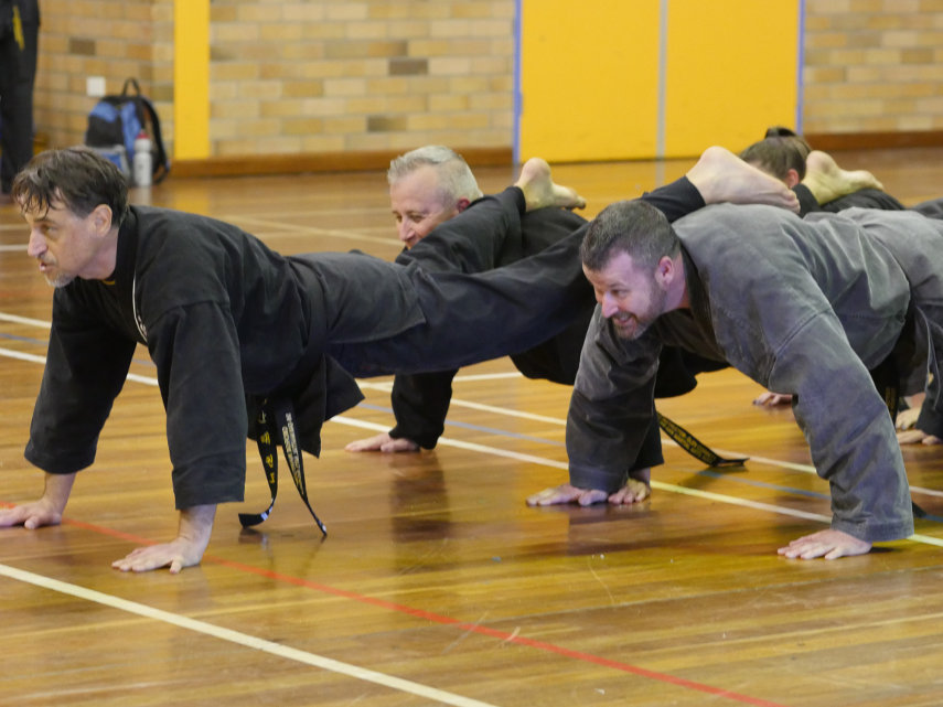 Combined pushups for veteran service personnel