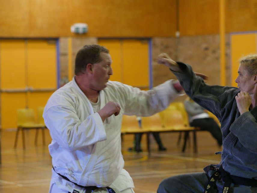 Martial artists sparring training