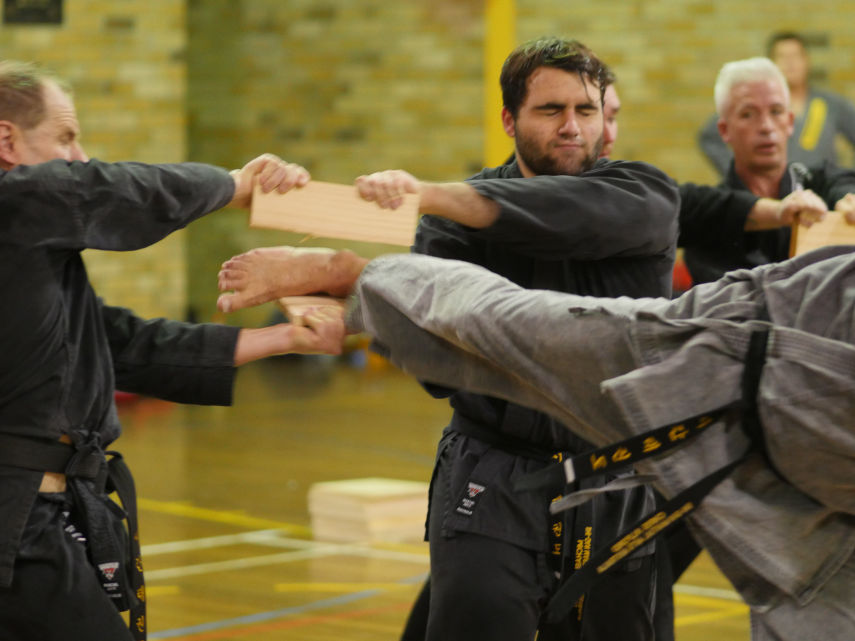 Senior black belts demonstrating board breaks